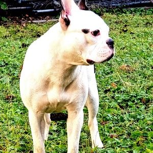 Meet your Posher, Katrina